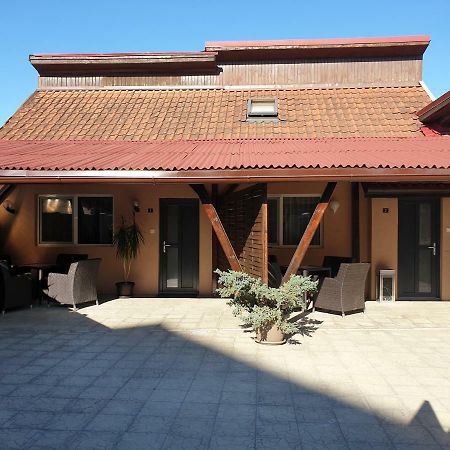 Irina Apartments Тимишоара Екстериор снимка