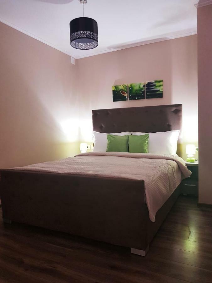 Irina Apartments Тимишоара Екстериор снимка