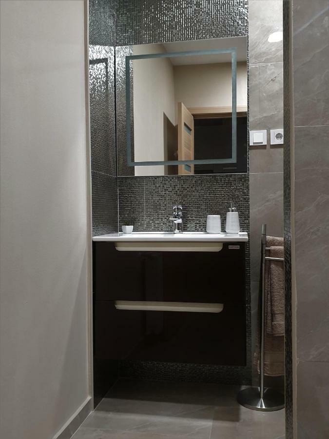 Irina Apartments Тимишоара Екстериор снимка