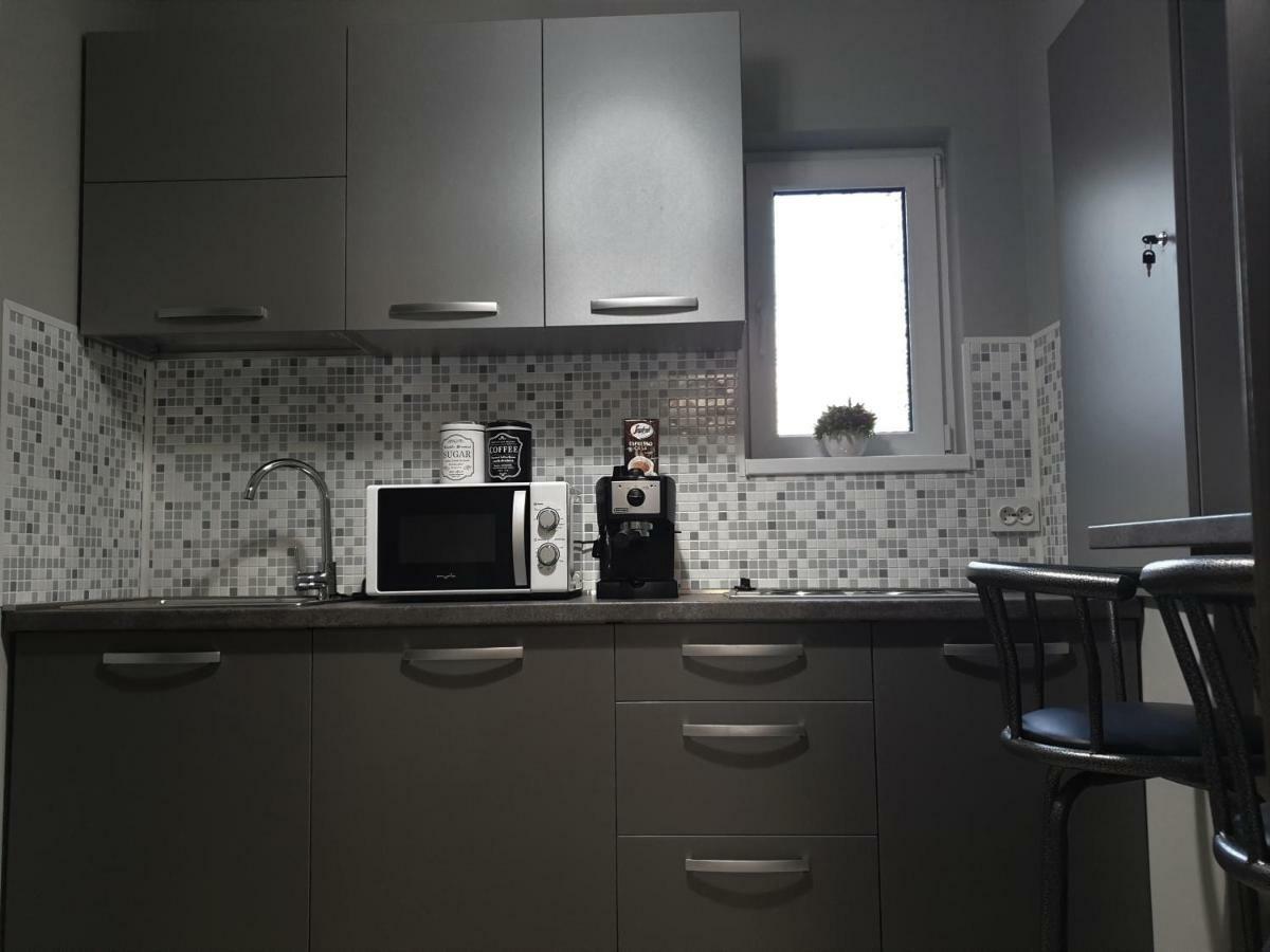Irina Apartments Тимишоара Екстериор снимка