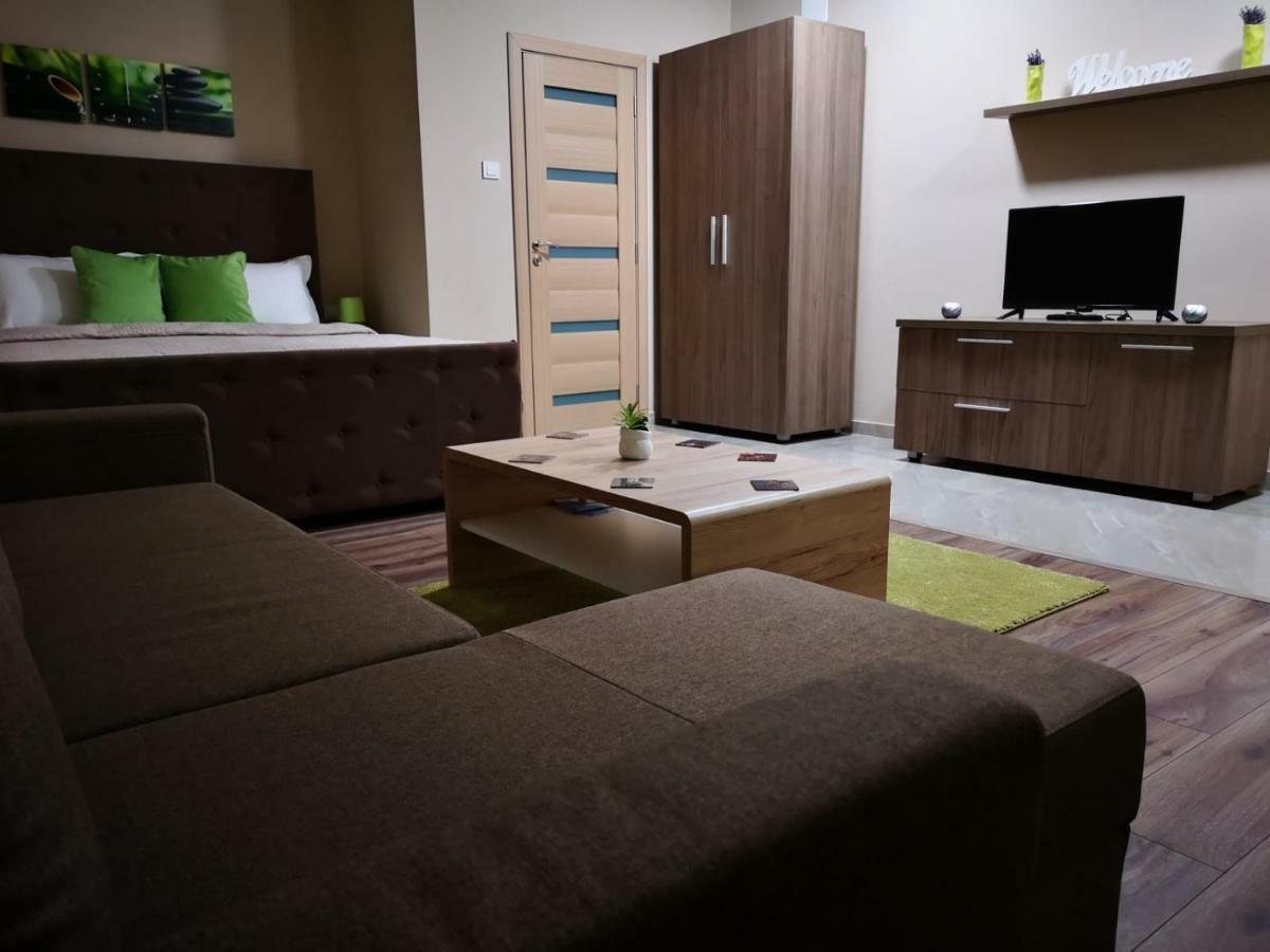 Irina Apartments Тимишоара Екстериор снимка