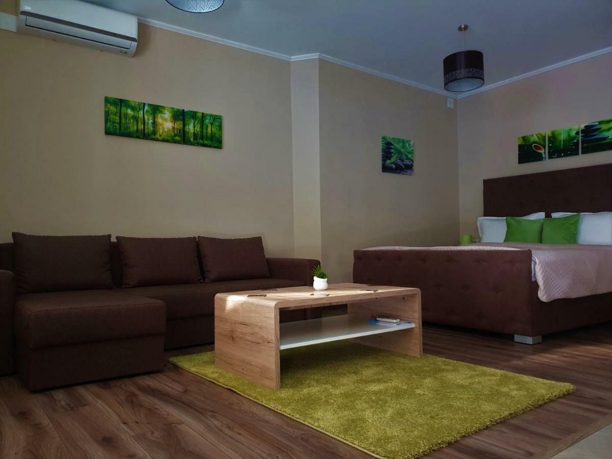 Irina Apartments Тимишоара Екстериор снимка